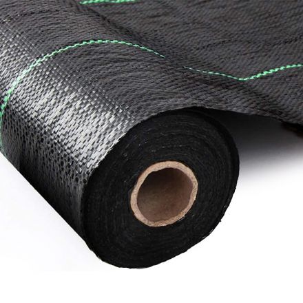 Φωτογραφία