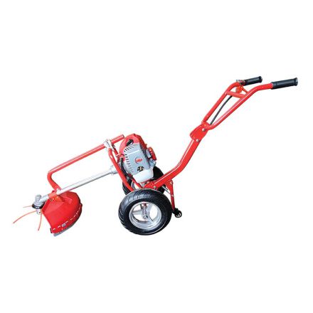 Φωτογραφία