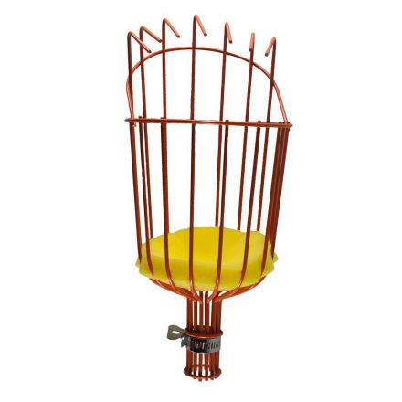 Φωτογραφία