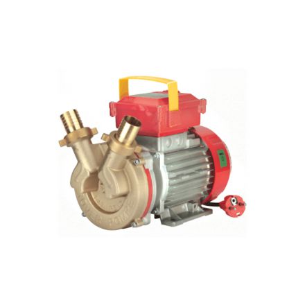 Φωτογραφία