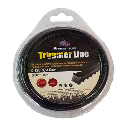 Φωτογραφία