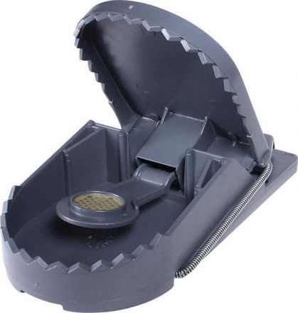 Φωτογραφία