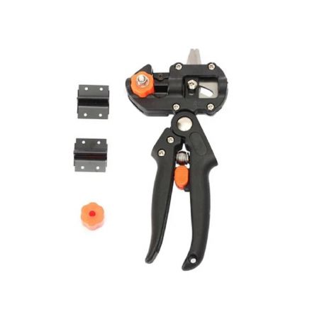 Φωτογραφία