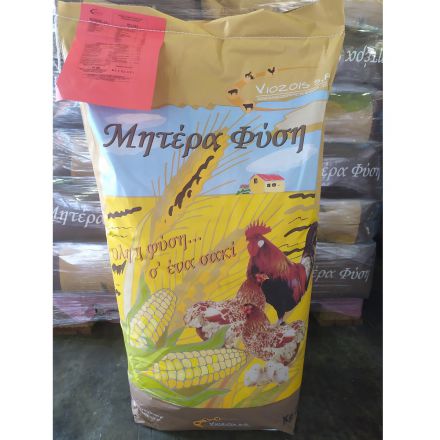 Φωτογραφία